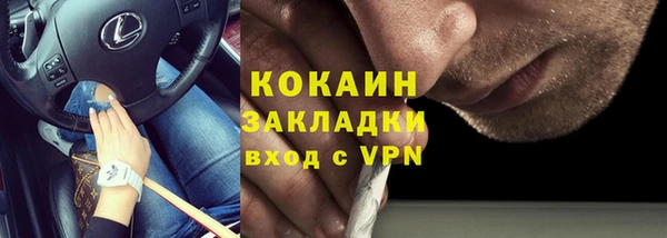 трава Беломорск