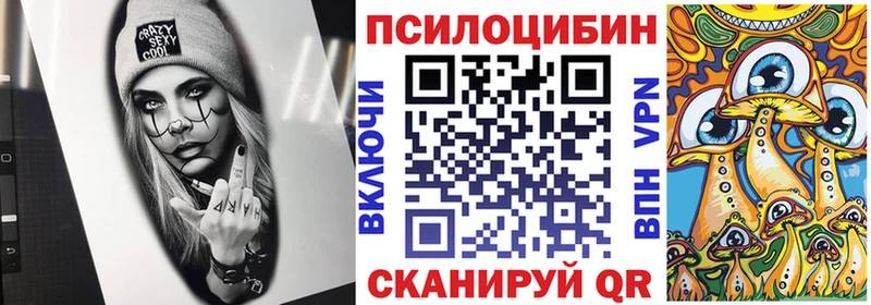 закладка Гулькевичи Псилоцибиновые грибы мухоморы